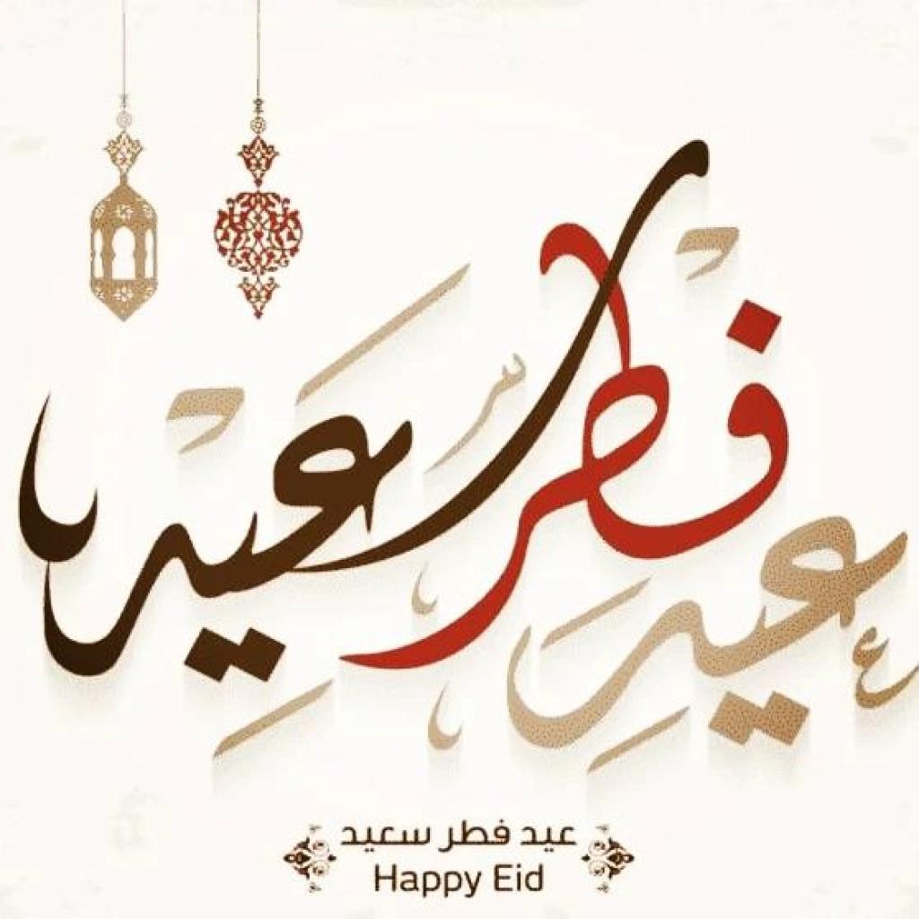 ברקודה ציוד דייג וצלילה ברקודה ציוד דייג וצלילה