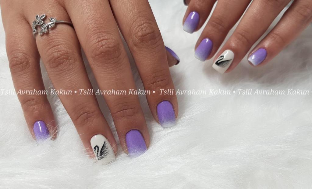 צליל היופי דימונה צליל היופי דימונה