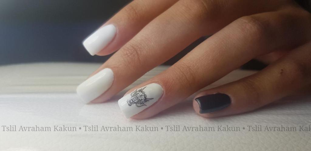 צליל היופי דימונה צליל היופי דימונה