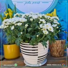פרידה פרחים בשוק
