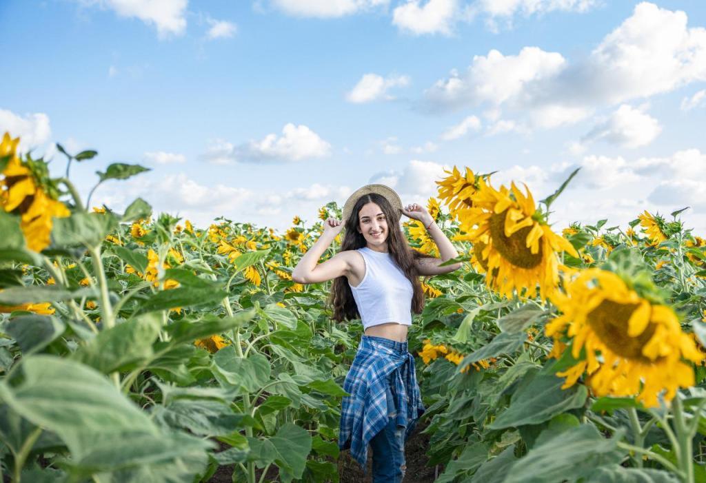 יוליה ארדיטי יוליה ארדיטי