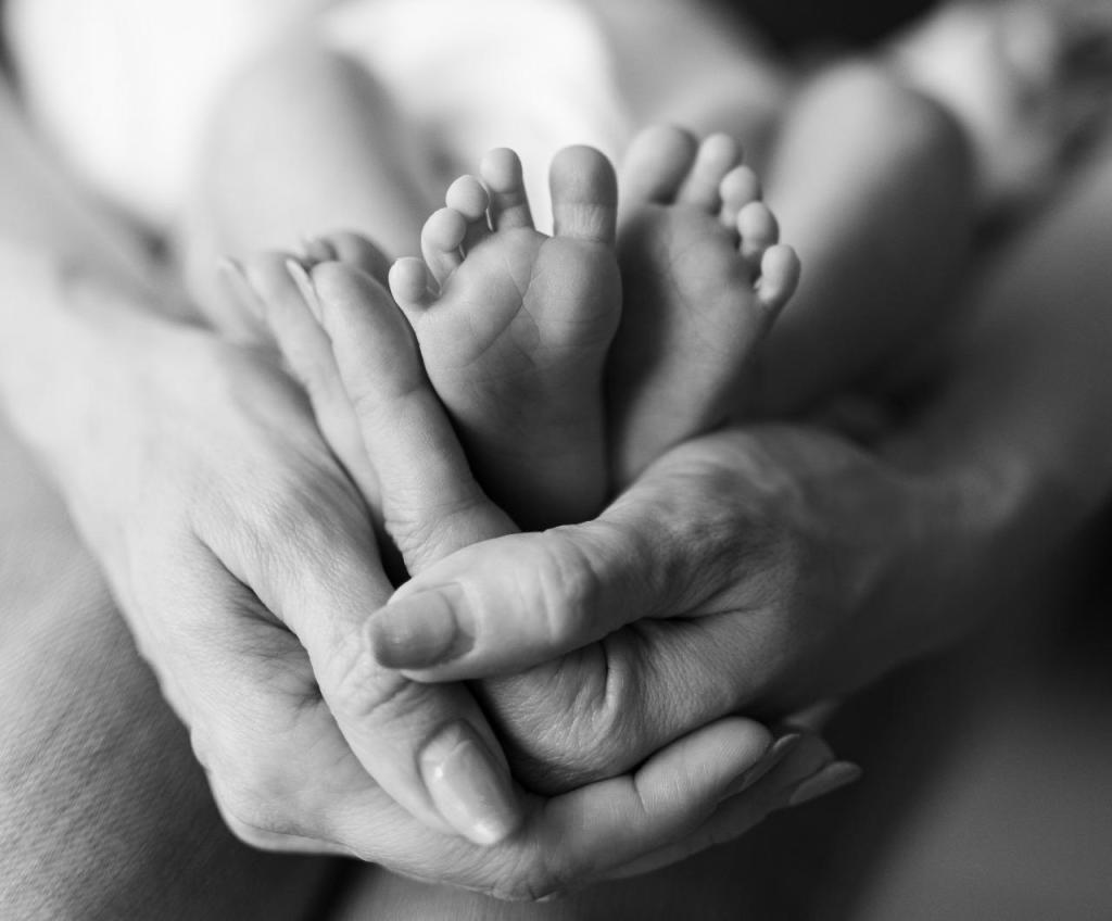 יוליה ארדיטי יוליה ארדיטי