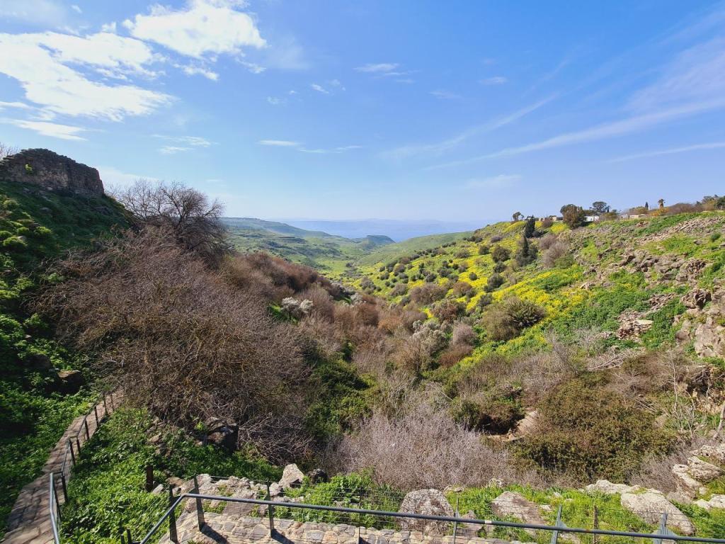אלצ'קו אלצ'קו