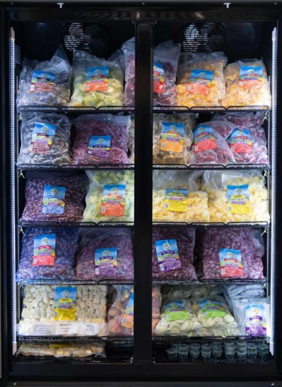 שוקיט שוקיט