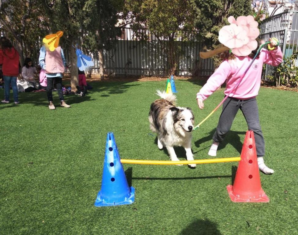 ליסה יואלי ליסה יואלי