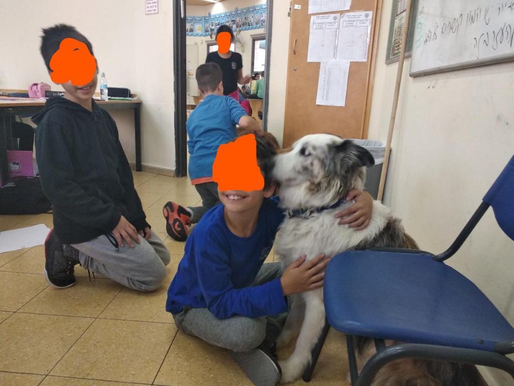 ליסה יואלי ליסה יואלי