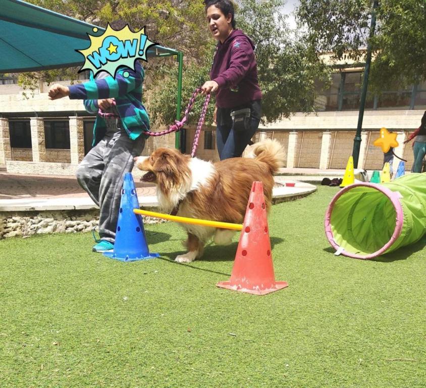 ליסה יואלי ליסה יואלי