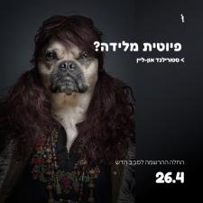 סטורילנד
