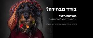סטורילנד