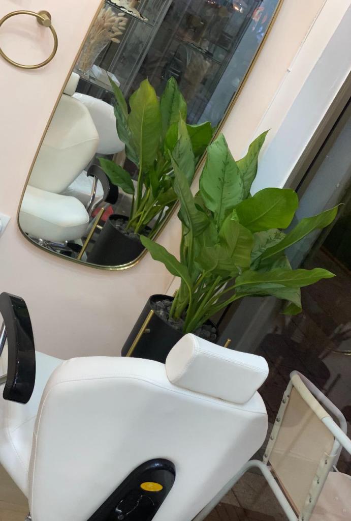 ביוטי שיר ביוטי שיר