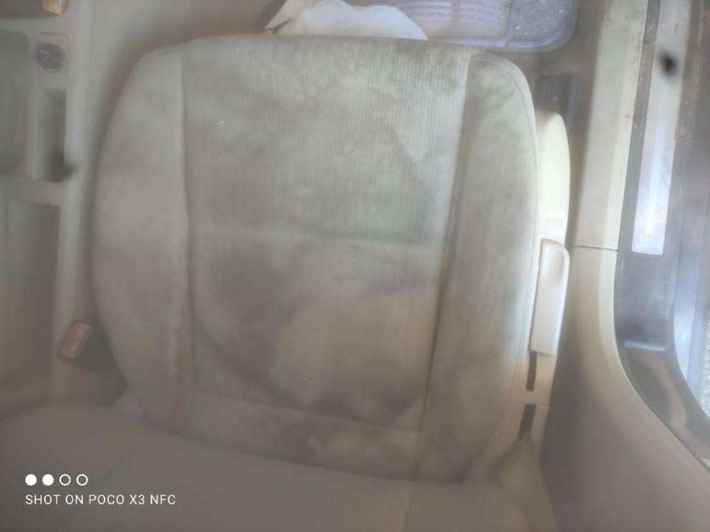 קלין קליין קלין קליין