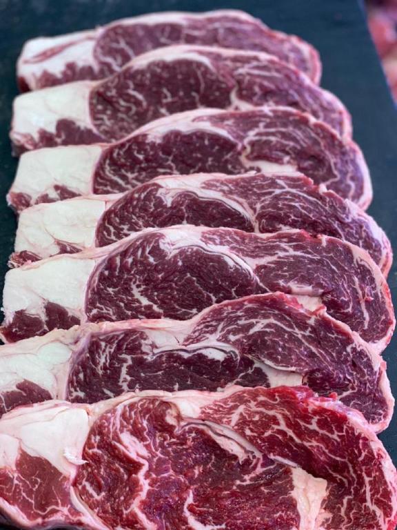 פאפי הקצב פאפי הקצב