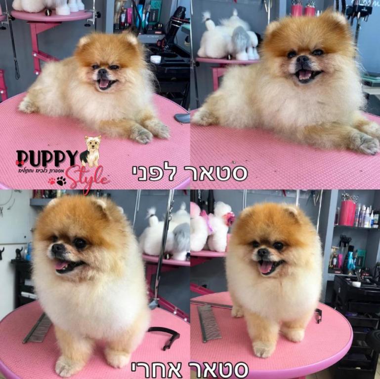 Puppy Style Puppy Style