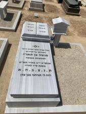 שיש מלכות דוד
