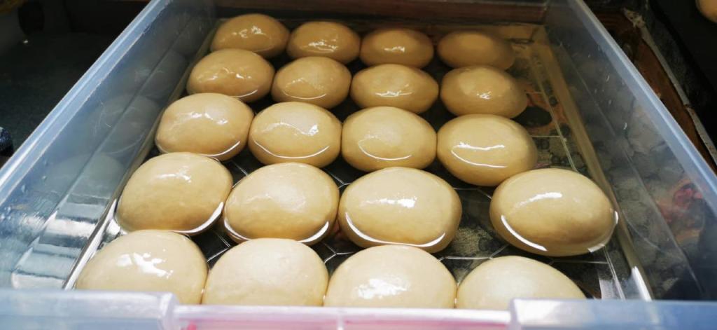 הג'חנון של מיכל הג'חנון של מיכל