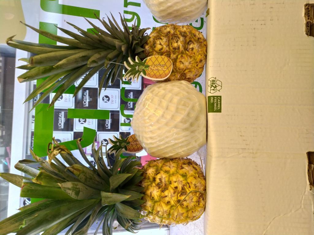 הקיבוצניק הקיבוצניק