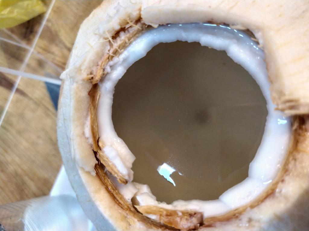 הקיבוצניק הקיבוצניק