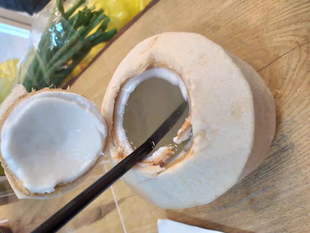 הקיבוצניק הקיבוצניק