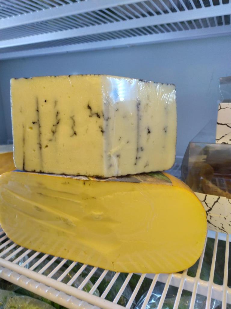 הקיבוצניק הקיבוצניק