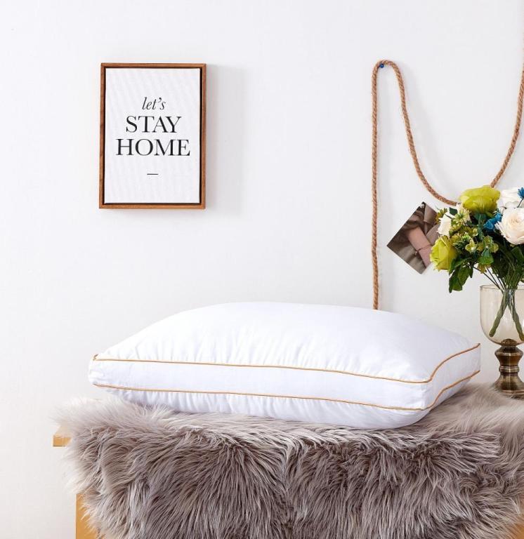 מוליס Mollis מוליס Mollis