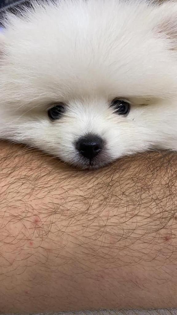 סוד הטבע סוד הטבע