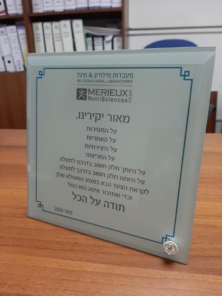 סיטי פרינט סיטי פרינט