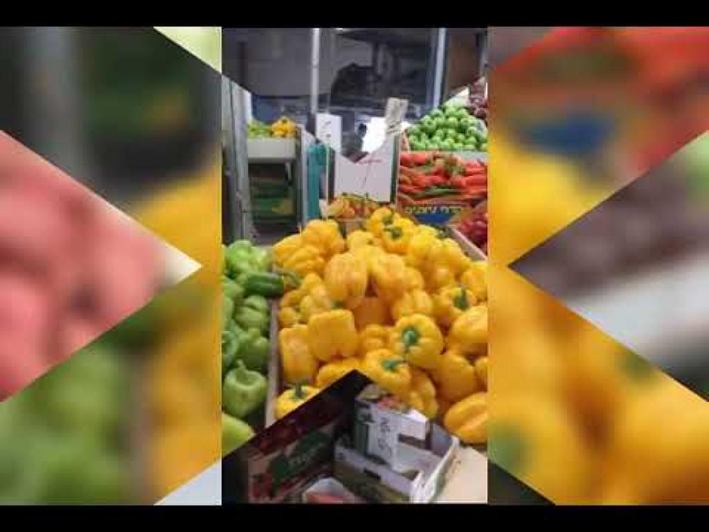 ויברך דוד ויברך דוד