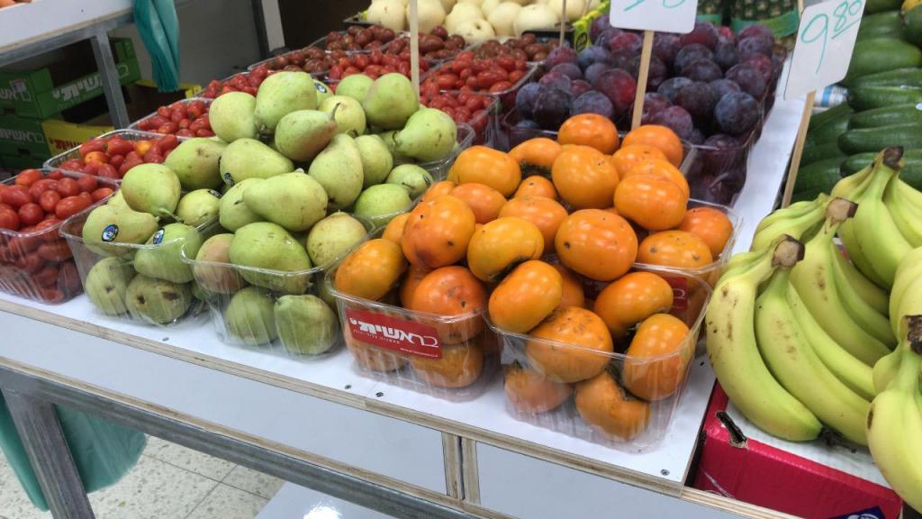 ויברך דוד ויברך דוד