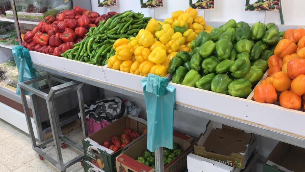 ויברך דוד ויברך דוד