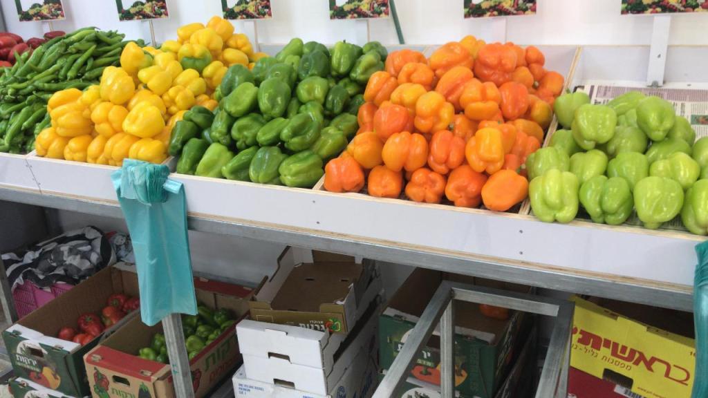 ויברך דוד ויברך דוד