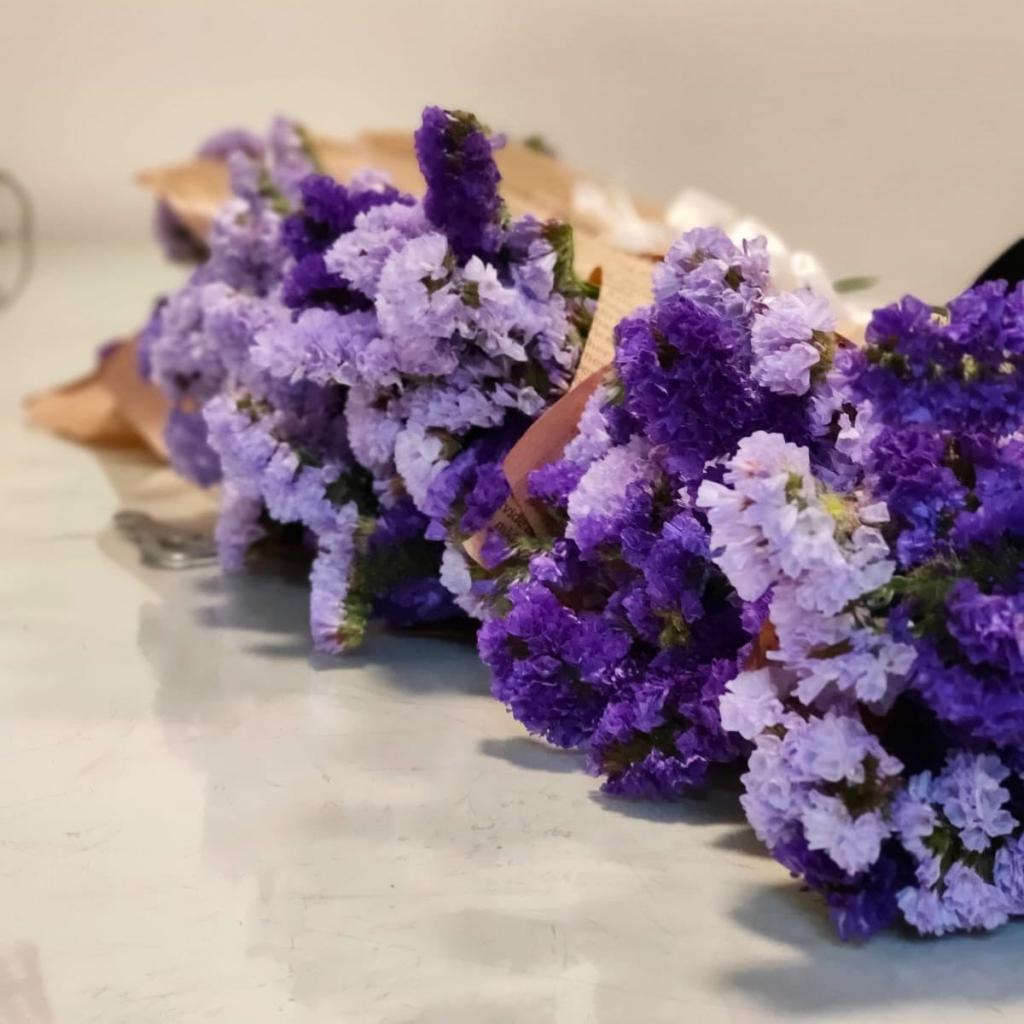 רעות חן רעות חן