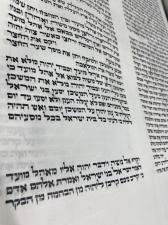 עד קוצו של יו"ד