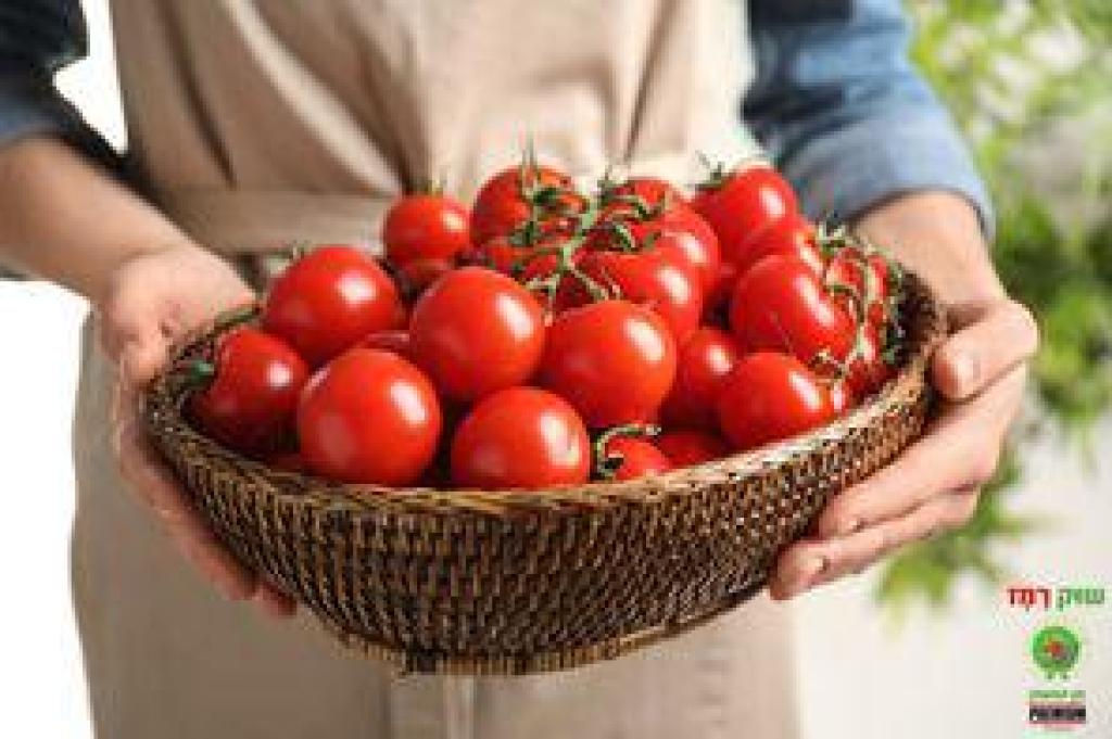 שוק רמז שוק רמז