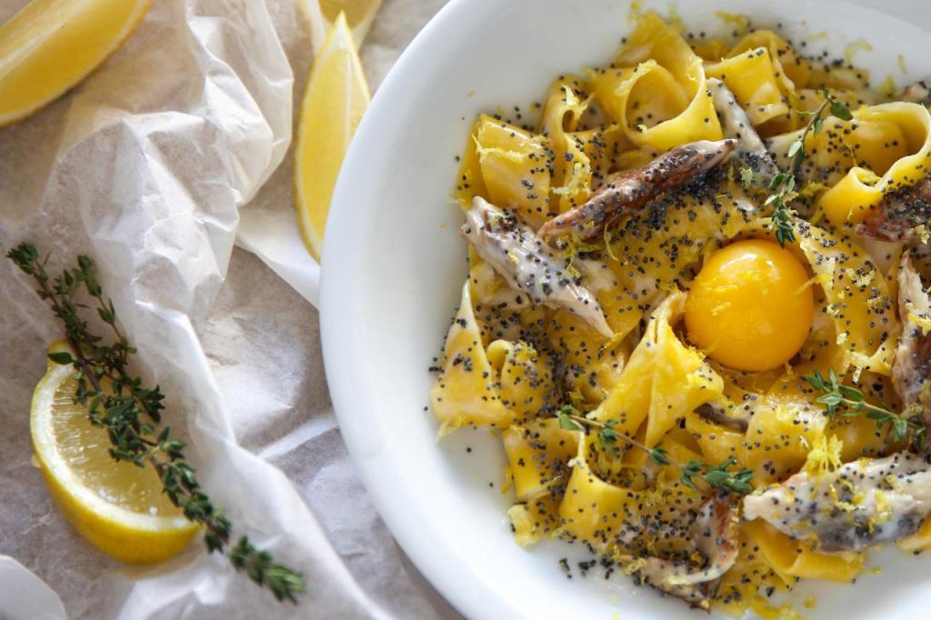 ניר ששון ניר ששון