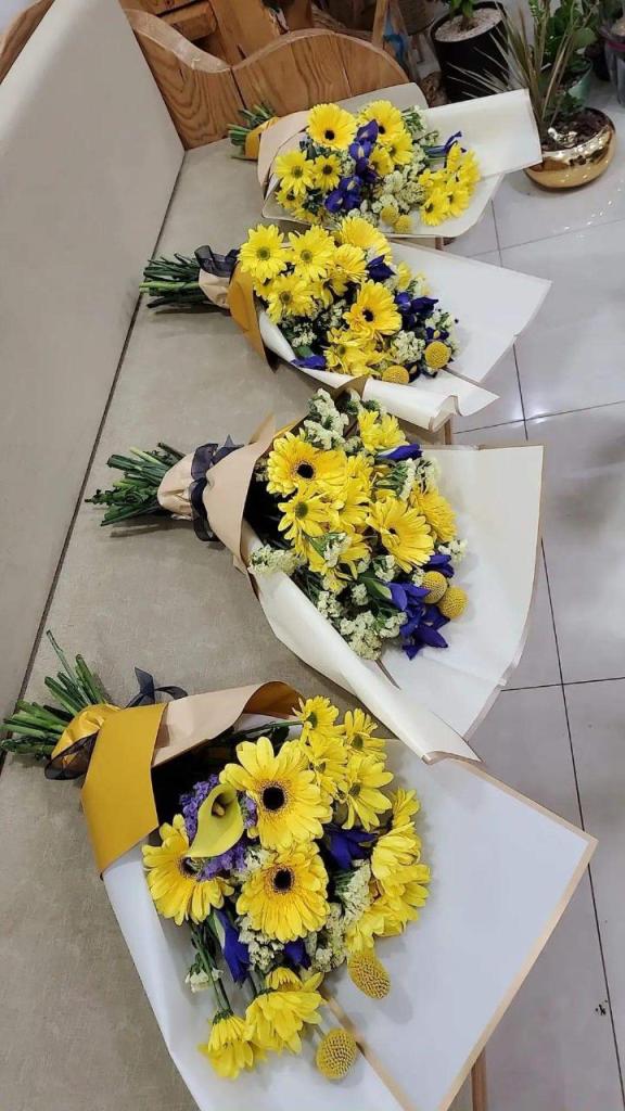 משתלת אלפוראת משתלת אלפוראת