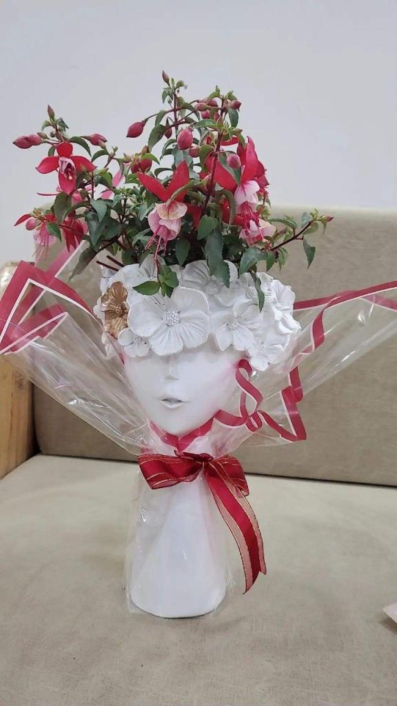 משתלת אלפוראת משתלת אלפוראת