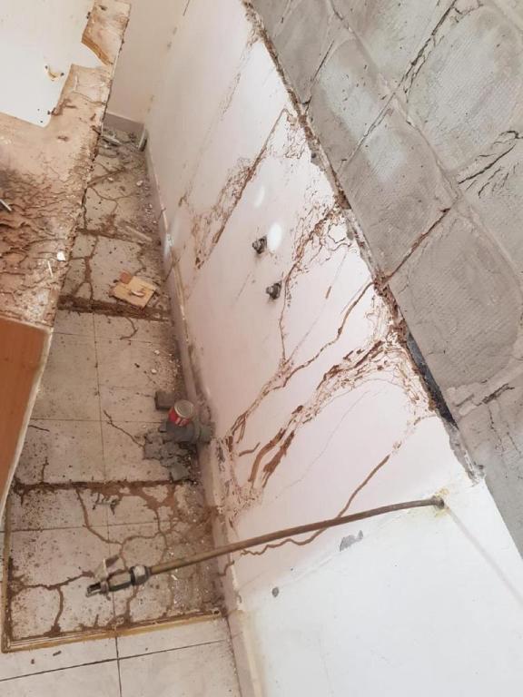 אלעד אטיאס אלעד אטיאס