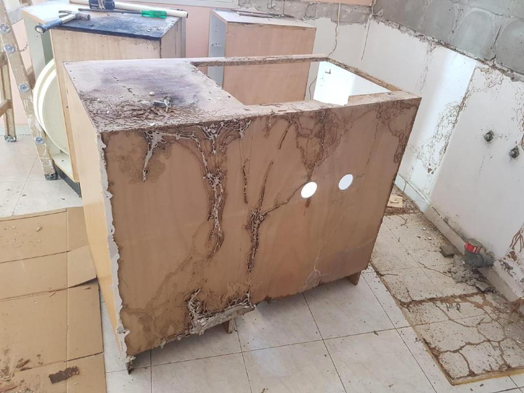 אלעד אטיאס אלעד אטיאס