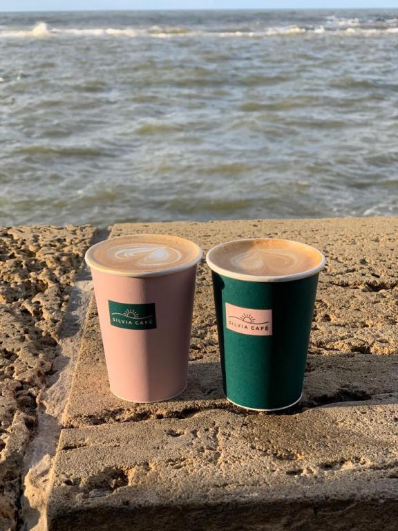 סילביה קפה סילביה קפה