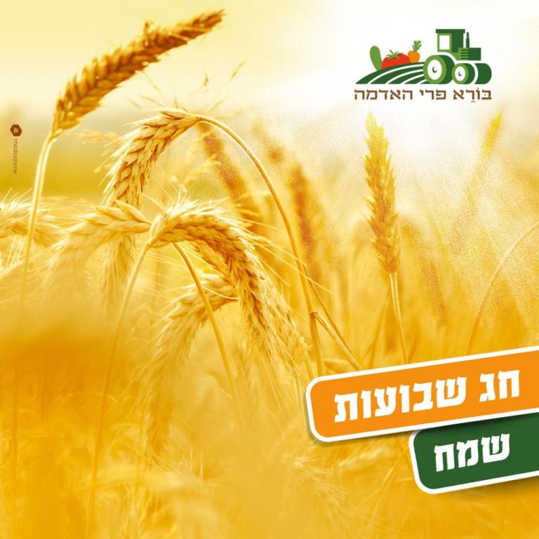 בורא פרי האדמה בורא פרי האדמה