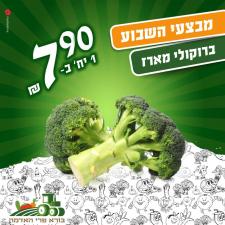 בורא פרי האדמה