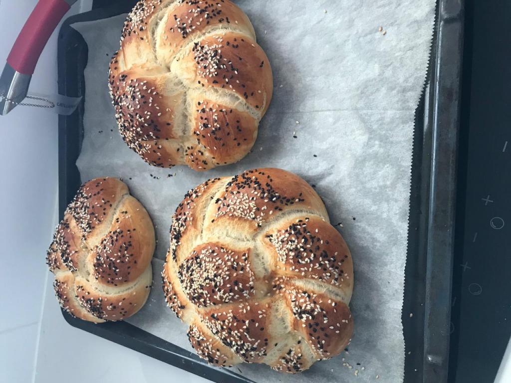 נופיה קייקס נופיה קייקס