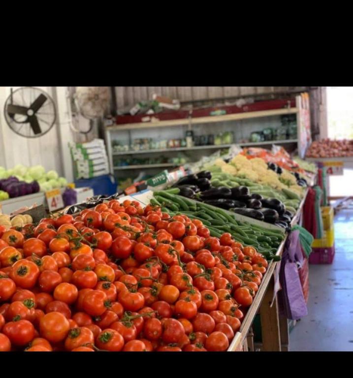 בר פירות וירקות בר פירות וירקות