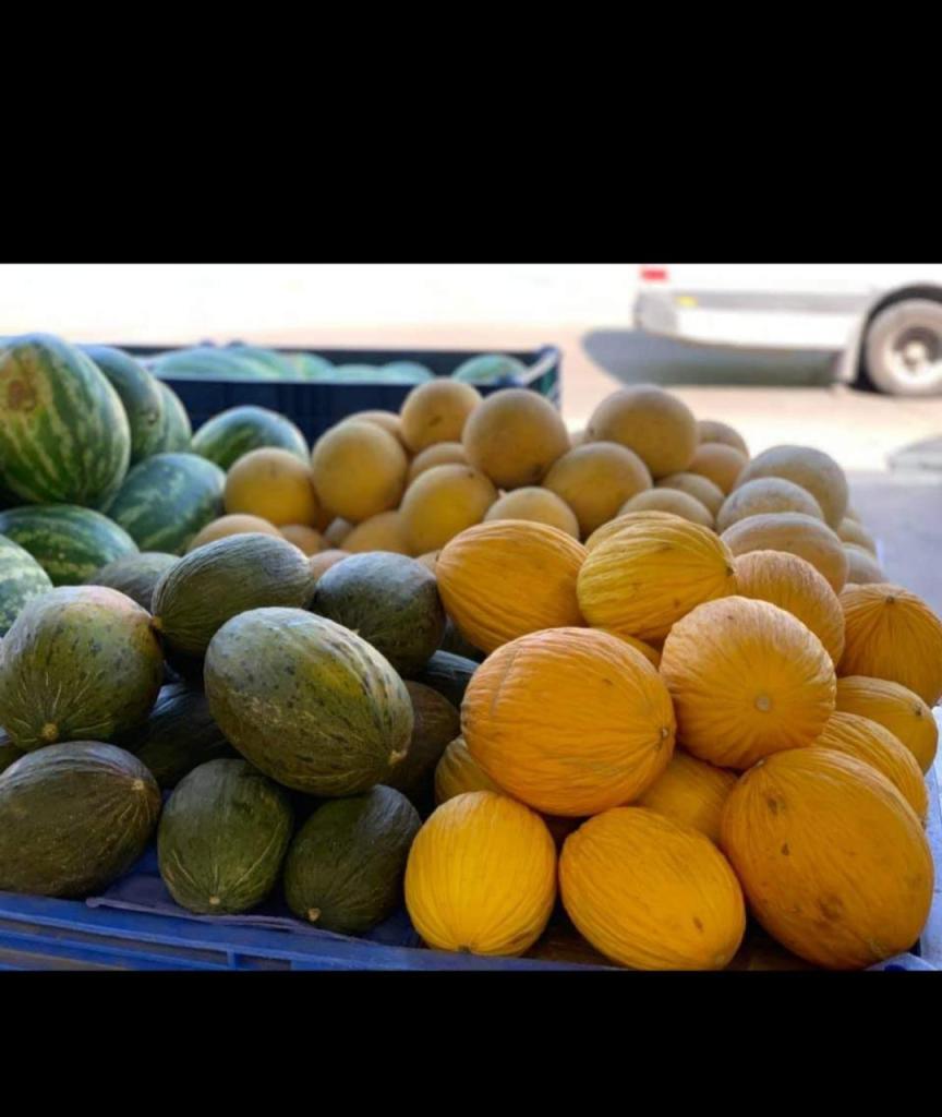 בר פירות וירקות בר פירות וירקות