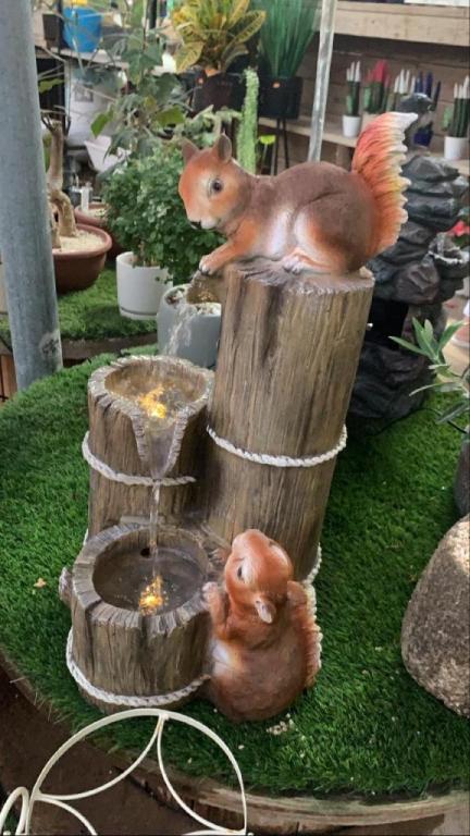 משתלת ענפי יהודה משתלת ענפי יהודה