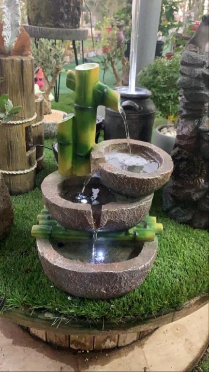 משתלת ענפי יהודה משתלת ענפי יהודה