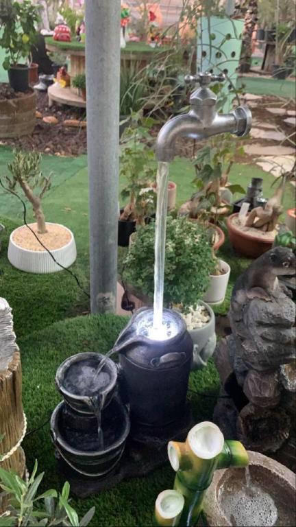 משתלת ענפי יהודה משתלת ענפי יהודה