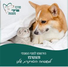 פסגות מרכז וטרינרי