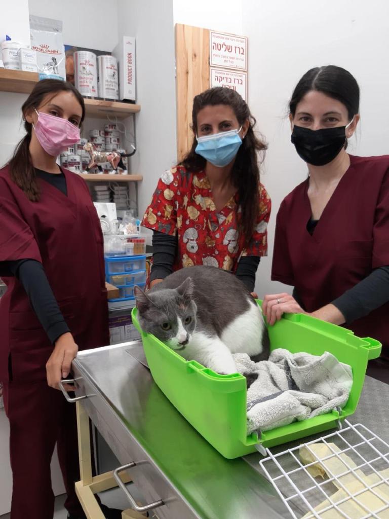 פסגות מרכז וטרינרי פסגות מרכז וטרינרי