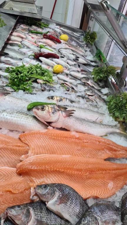 מרכז הדגים והקפואים מרכז הדגים והקפואים